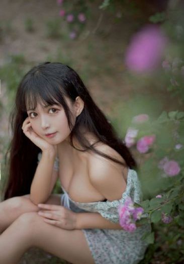 晴雅集在线观看_BD国语在线手机播放